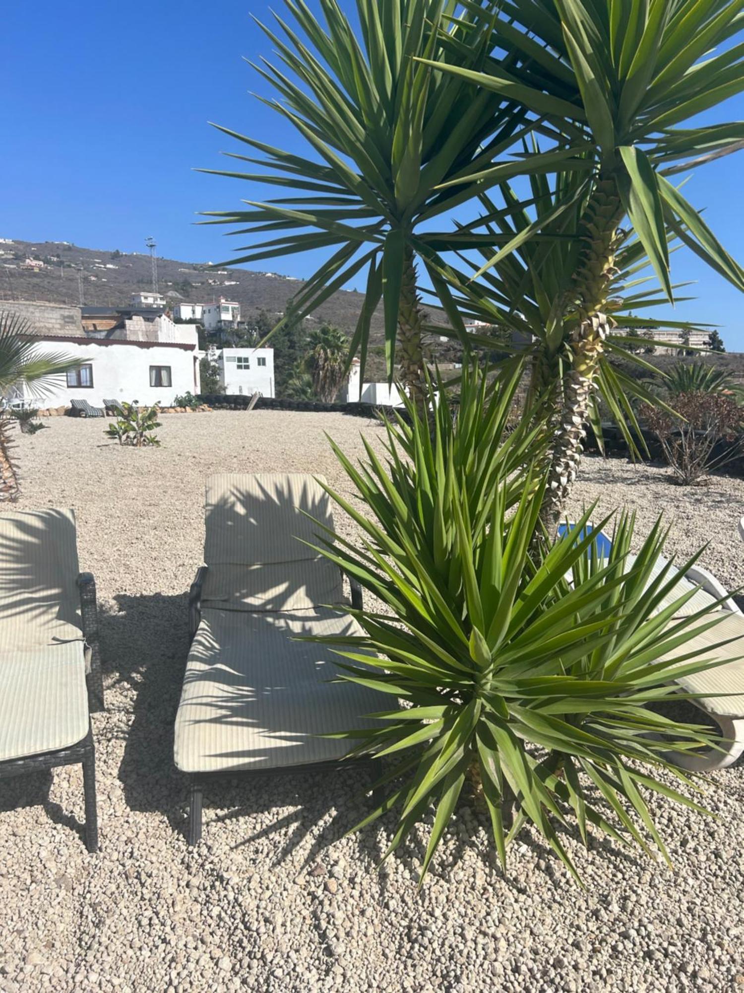 דירות ארונה Casa Mirador מראה חיצוני תמונה