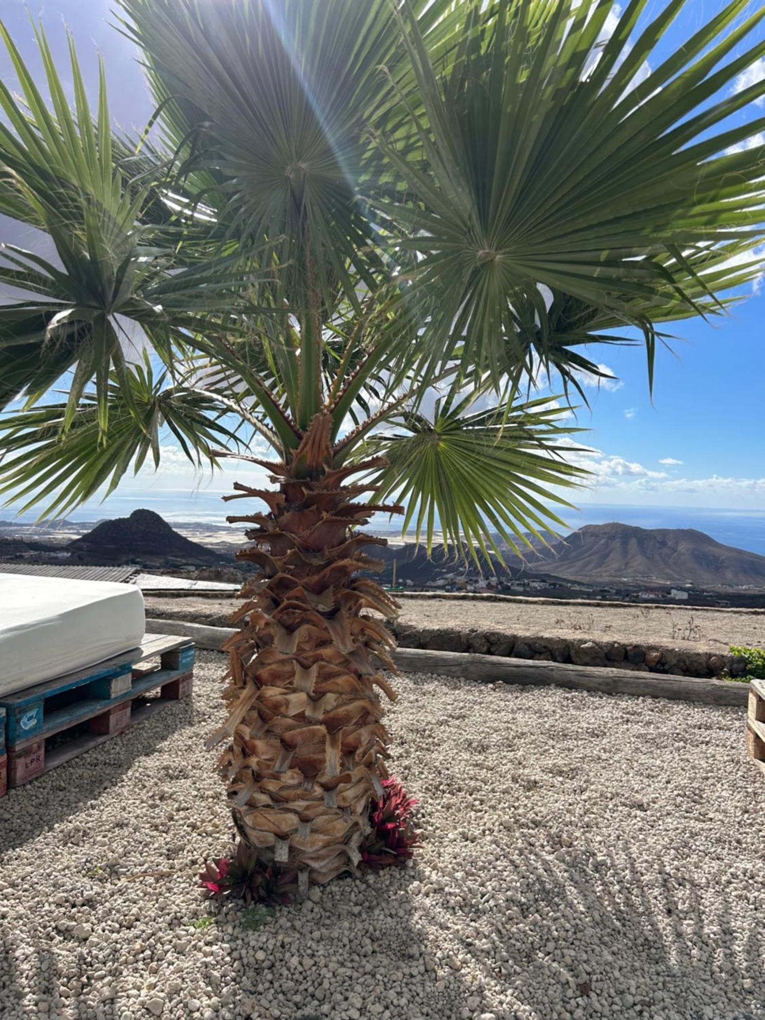 דירות ארונה Casa Mirador מראה חיצוני תמונה